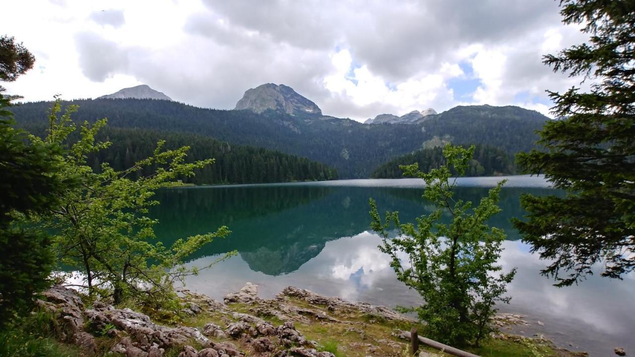 High Haven Durmitor Villa Žabljak Екстериор снимка